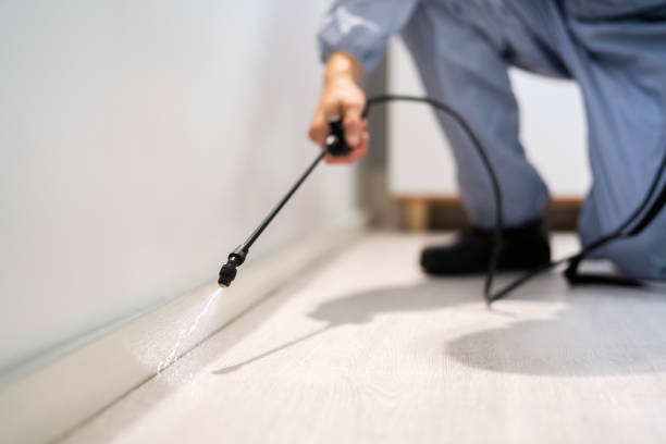 Licensed Pest Control service in Falls County County, TX - Nex Pest Control