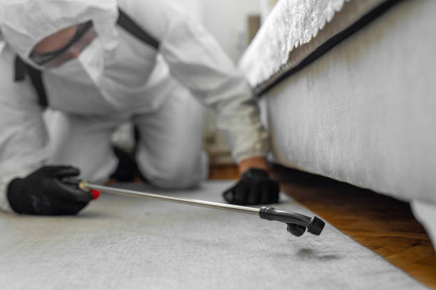 Professional Pest Control technician working in Falls County County, TX
